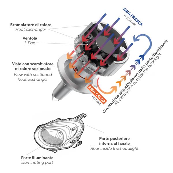 KIT HEADLIGHT LED LAMPADE D1-2-3-4 12V 55W PER FARO LENTICOLARE